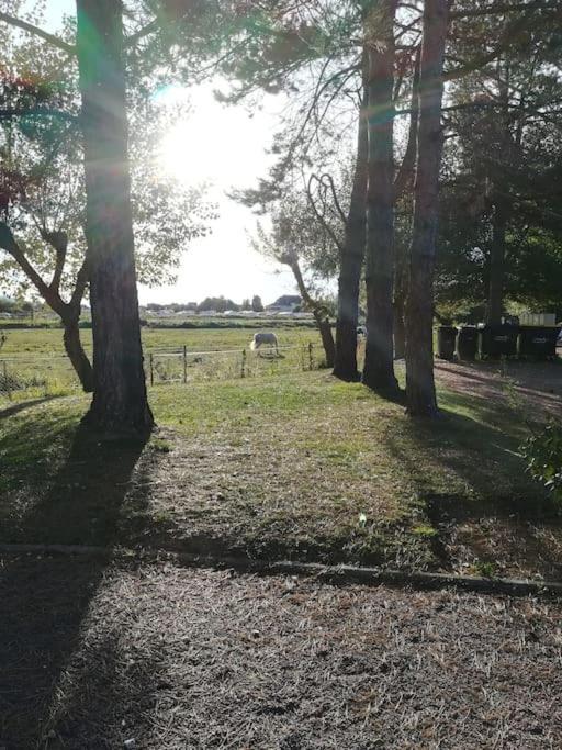 L'Appart De Blonville A 250M De La Plage Bagian luar foto